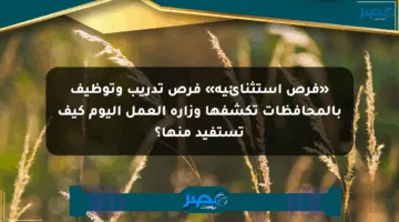 «فرص استثنائية» فرص تدريب وتوظيف بالمحافظات تكشفها وزارة العمل اليوم كيف تستفيد منها؟